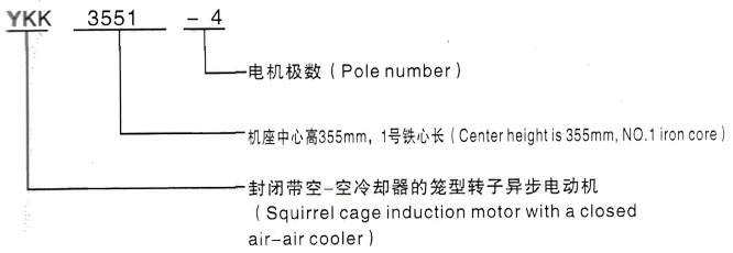 YKK系列(H355-1000)高压Y4509-10/355KW三相异步电机西安泰富西玛电机型号说明